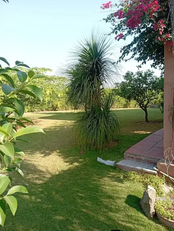 20 Marla House For Sale In D-12, Islamabad